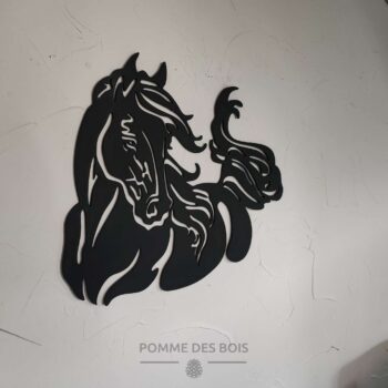 Un cheval sauvage de face.