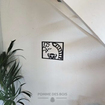 Un lémurien dans un cadre de face.