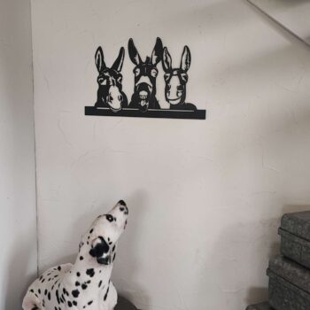 Trois âne qui rigolent avec une barrière.