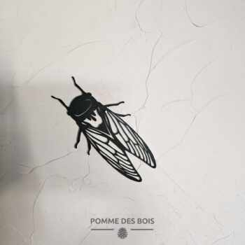 Une cigale entière de dos.