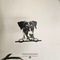 Une tête de fox terrier de face.